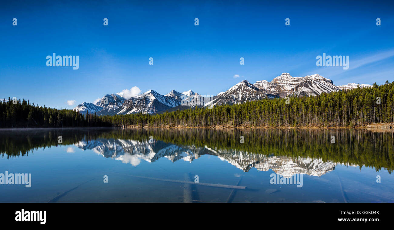 Mountains reflecting in a lake, Banff National Park, Icefields Parkway, Alberta, Rocky Mountains, Canada Stock Photo
