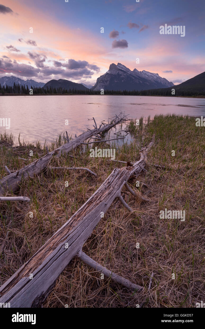 Mount Rundle, Banff National Park, Alberta, Rocky Mountains, Canada Stock Photo