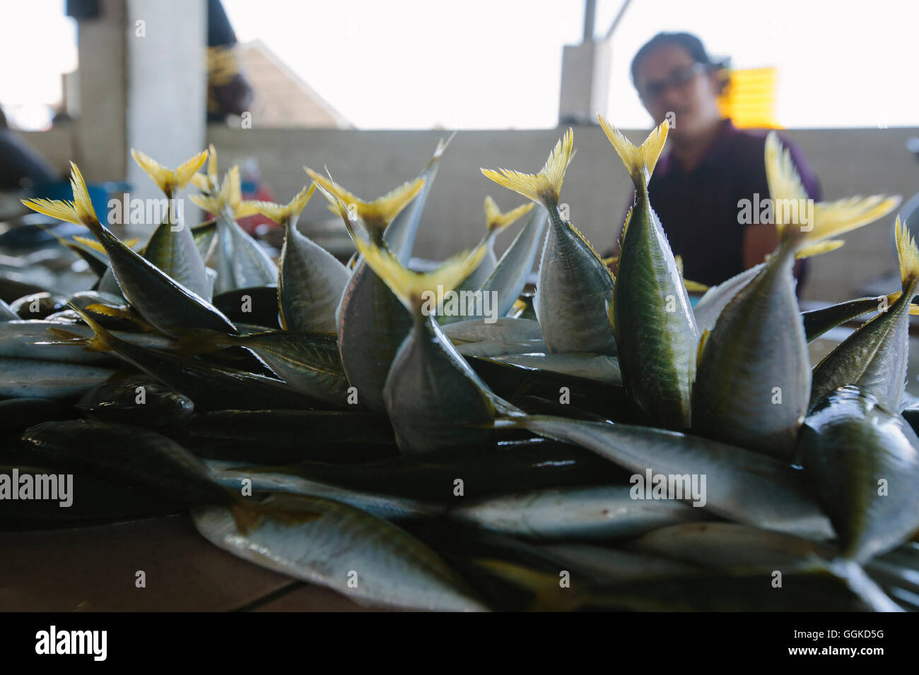 At the Fish Market in Kota Kinabalu, Borneo, Malaysia Stock Photo Alamy