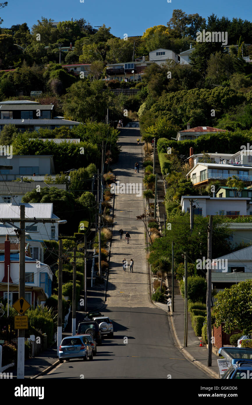 Baldwin Street is the world's steepest street, Dunedin, Otago, South Island, New Zealand Stock Photo