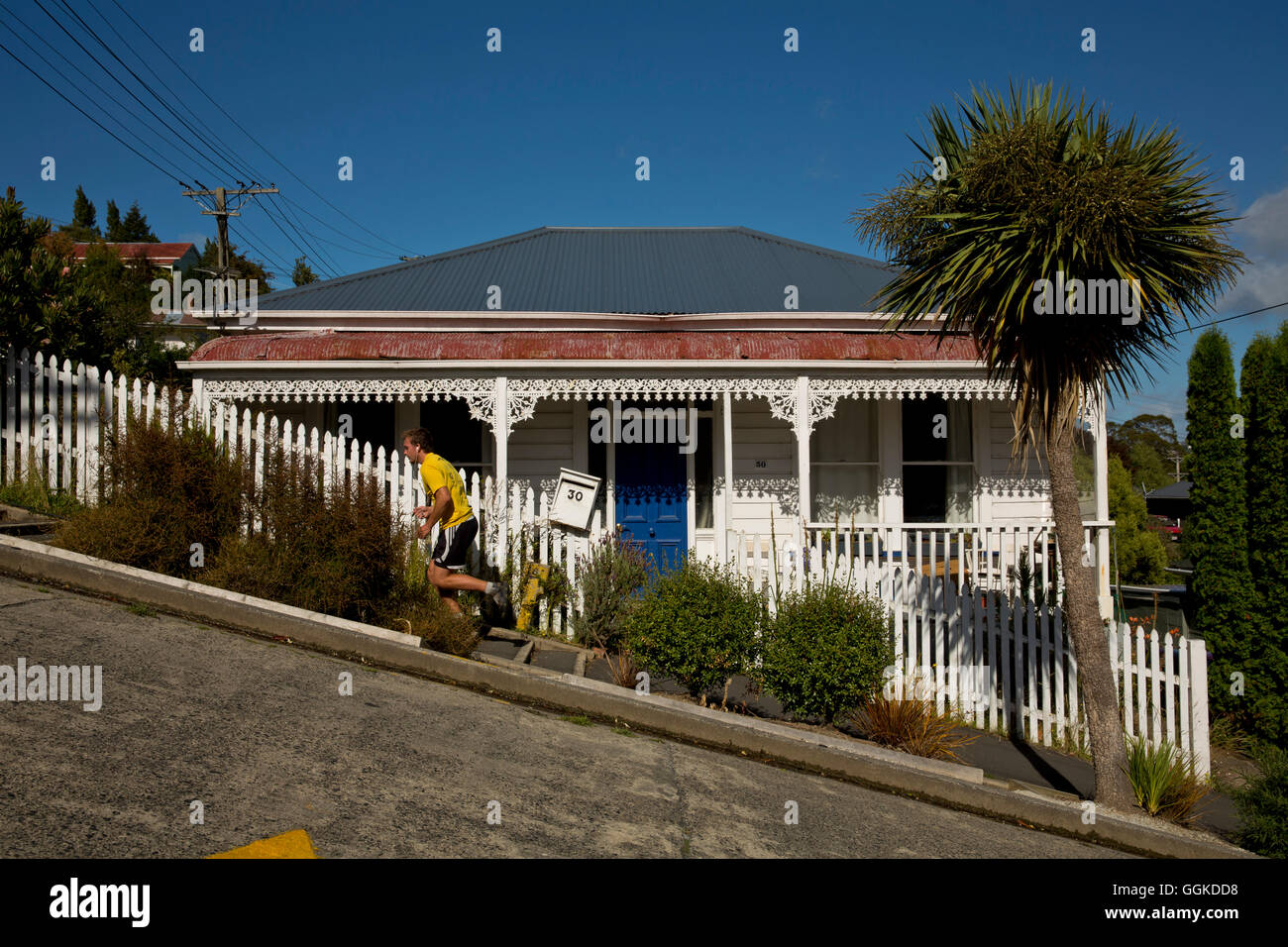 Baldwin Street is the world's steepest street, Dunedin, Otago, South Island, New Zealand Stock Photo