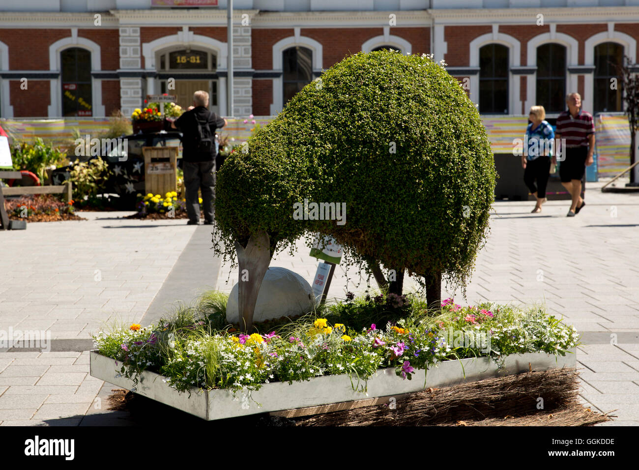Kiwi statue hires stock photography and images Alamy