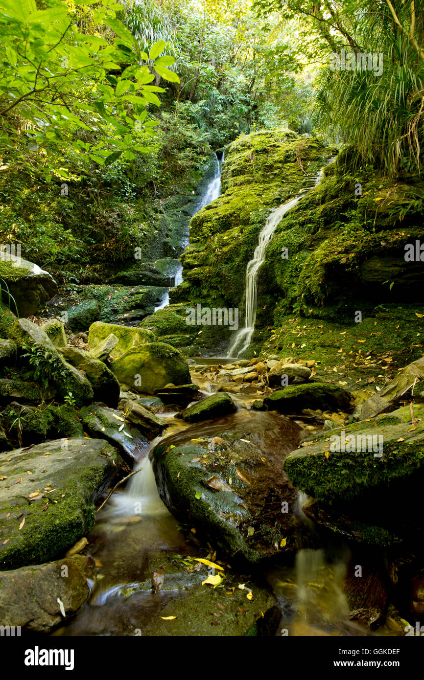 Darby's Falls waterfall near Ship Cove, Outer Queen Charlotte Sound, Marlborough, South Island