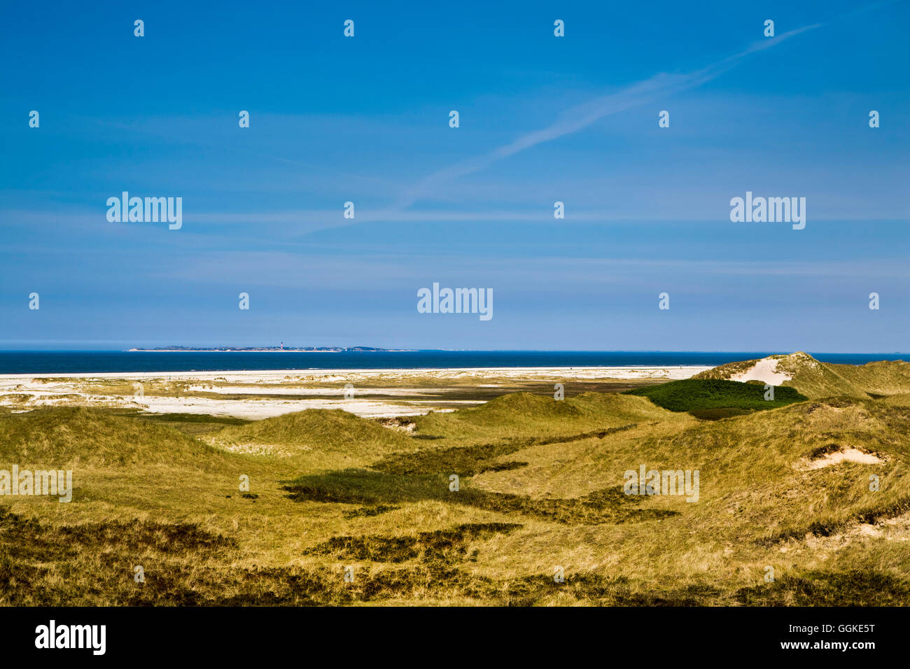 Dunes, Amrum Island, North Frisian Islands, Schleswig-Holstein, Germany Stock Photo