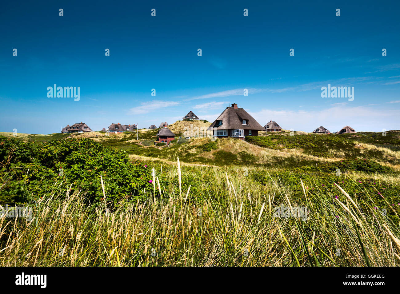 Thatched houses in the dunes, Hoernum, Sylt Island, North Frisian Islands, Schleswig-Holstein, Germany Stock Photo