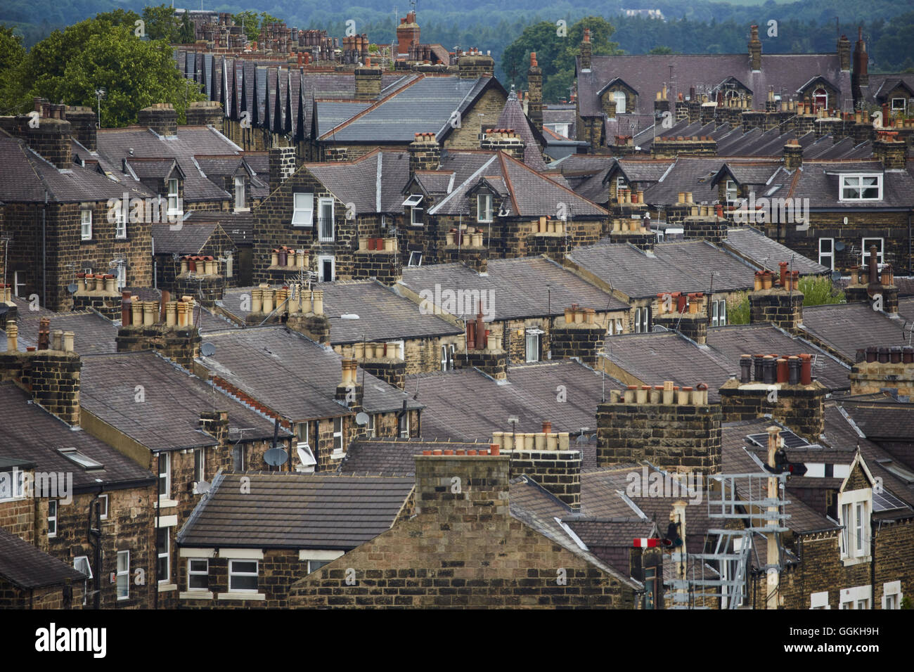 rooftops roofs housing stock harrogate   Yorkshire Suburban suburbia  suburbs town village local communities district Private Ho Stock Photo