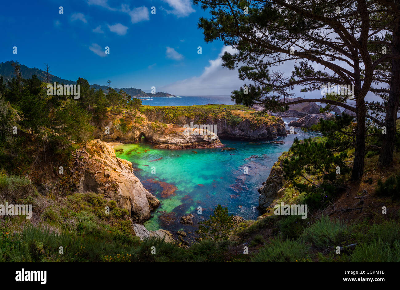 China Beach Point Lobos California State Reserve Stock Photo