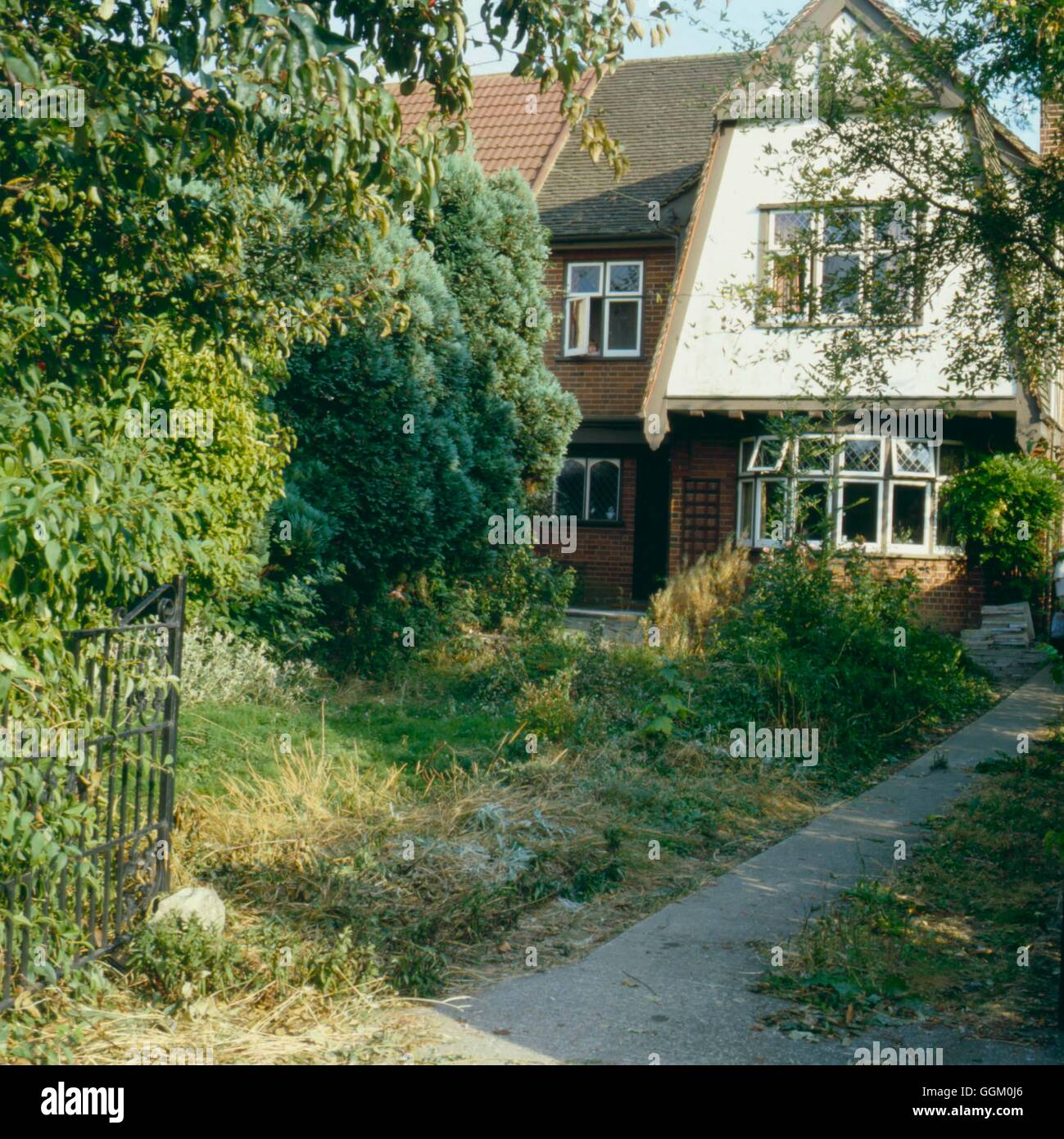 Neglected Garden   NEG020206 Stock Photo