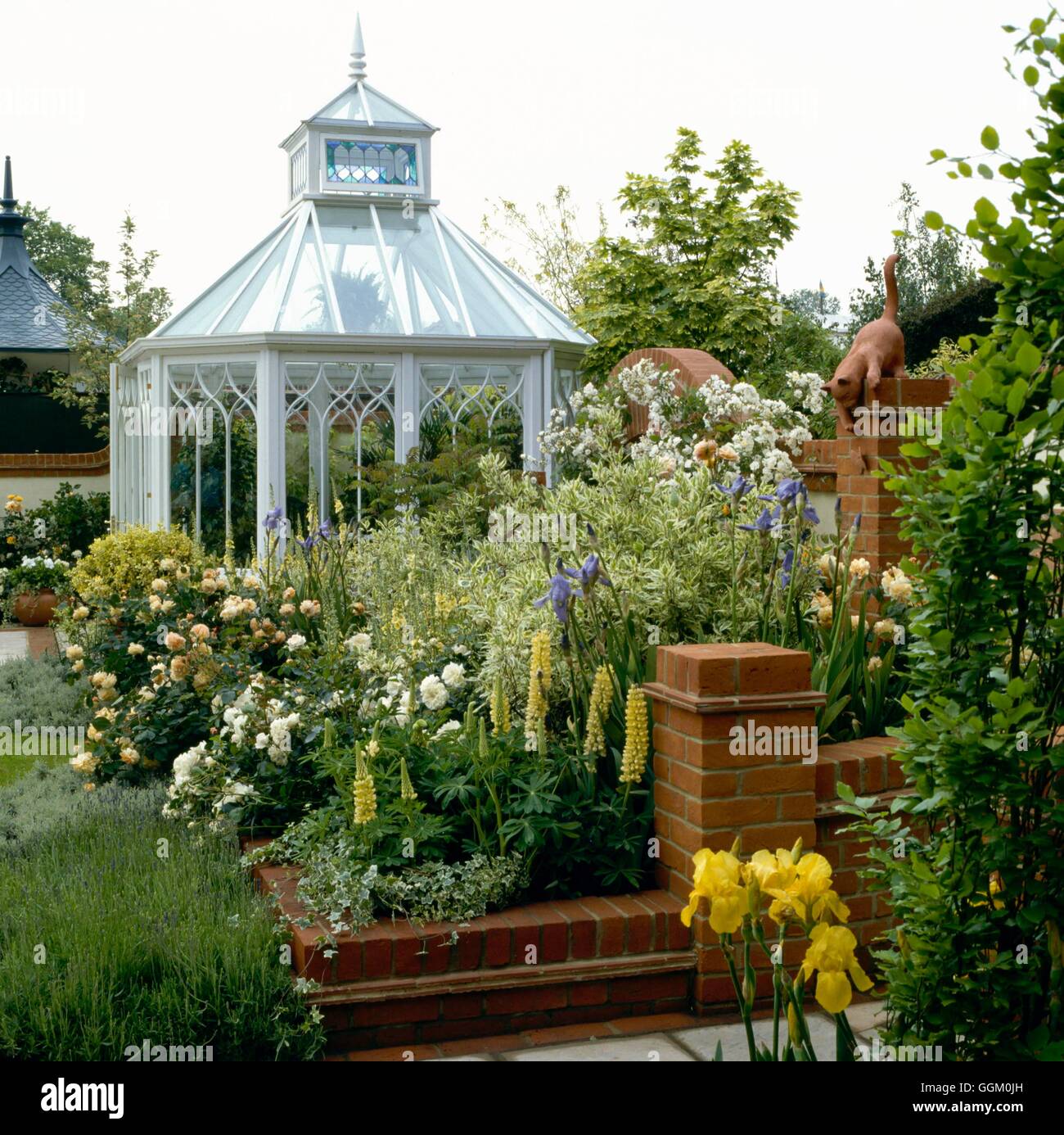 One Colour Border - Golden Border - on Help The Aged garden  by Robin Williams  at Chelsea 1990.   OCB022616  Compulso Stock Photo