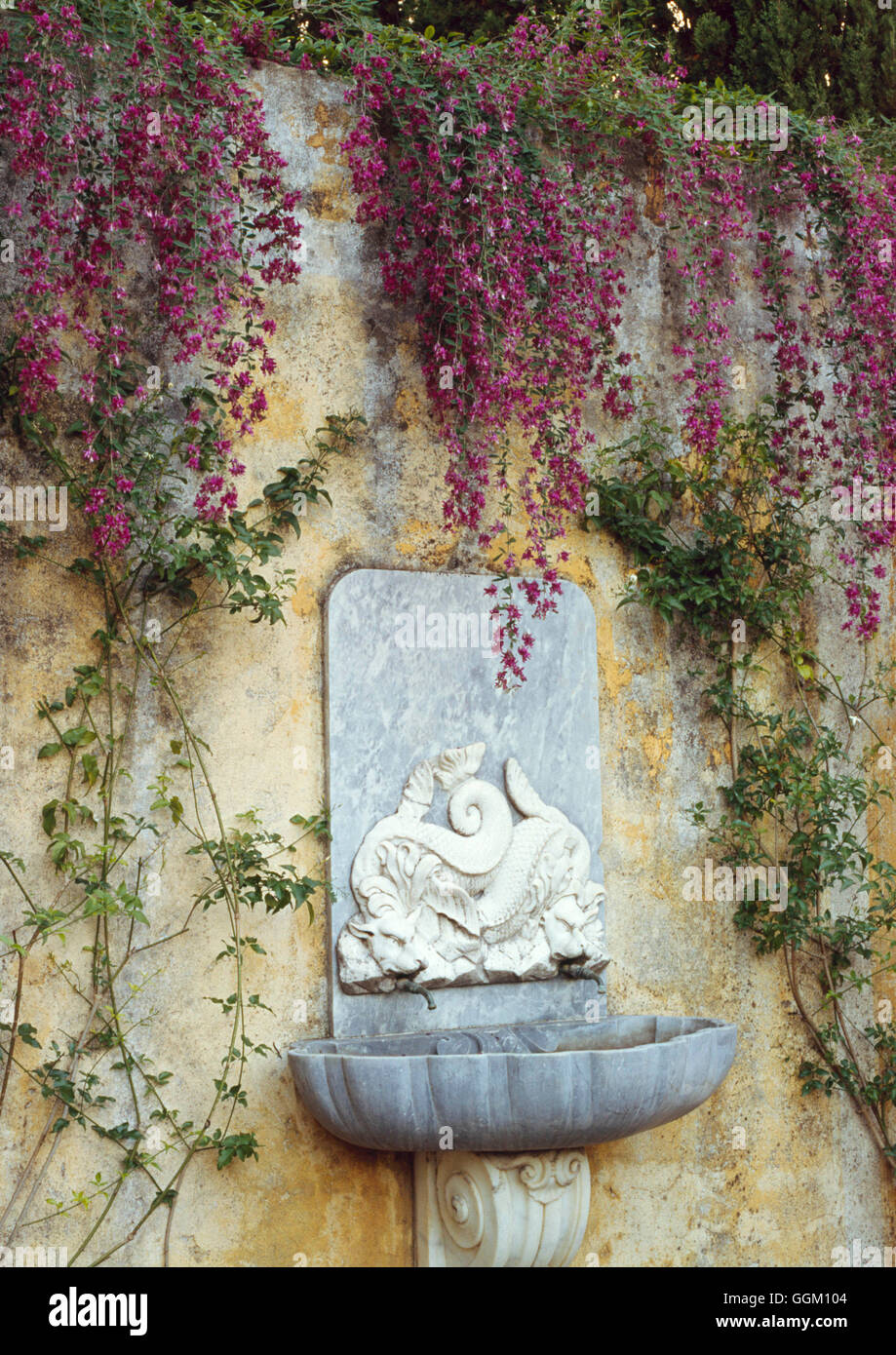 Ornament - with Lespedeza thunbergii trailing down.   ORN023233 Stock Photo