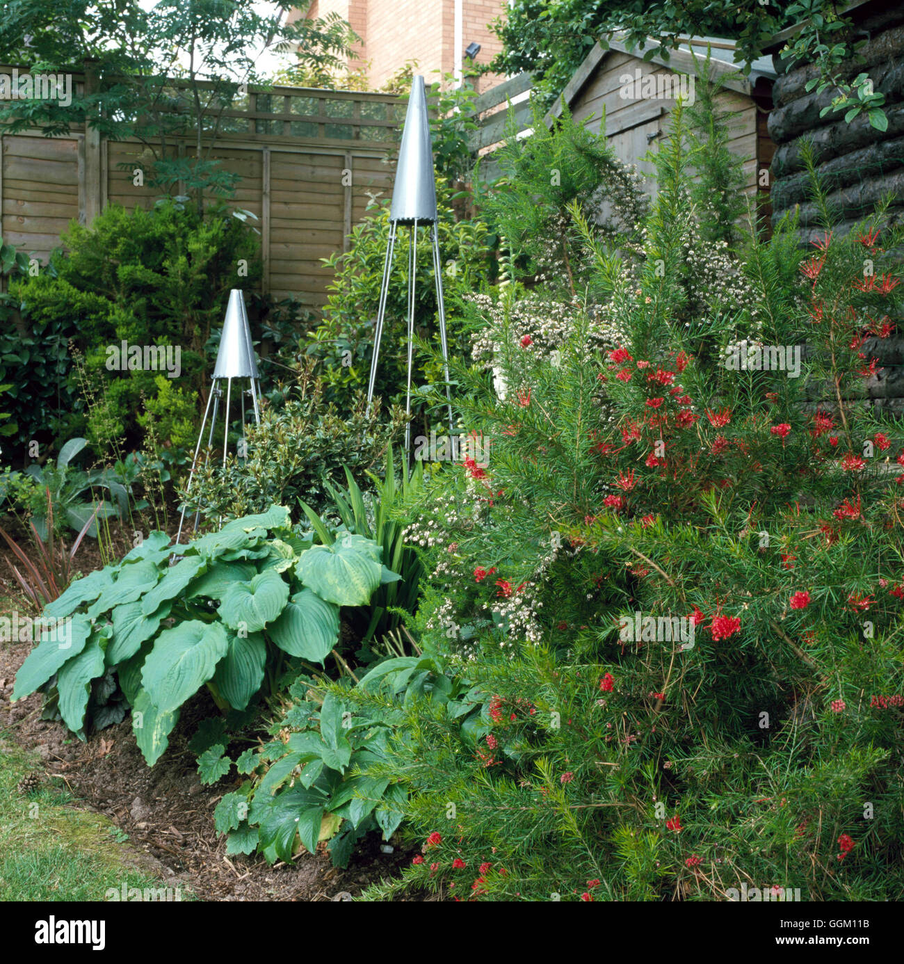 Ornaments - (Please credit: Photos Hort/Golf Cottage)   ORN095711  /Photoshot Stock Photo