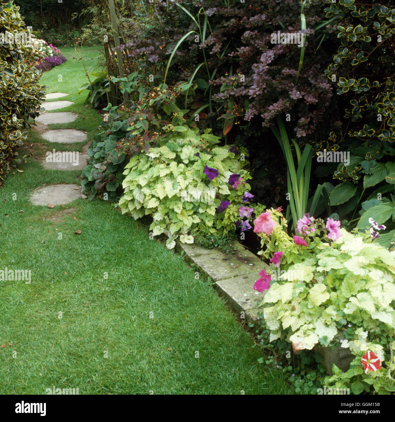 Path - of grass  with stepping stones at the hardest wearing area.   PAP009700     Photos Horticultu Stock Photo