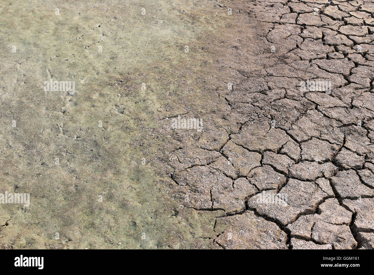 Clay soil hi-res stock photography and images - Alamy