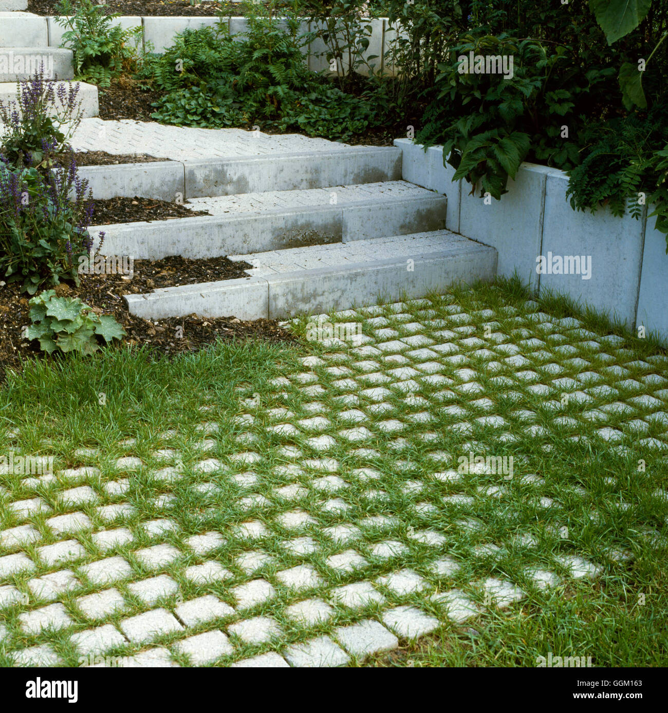Paths and Paving - Block paving for grass path in constant use   PAP052126 Stock Photo