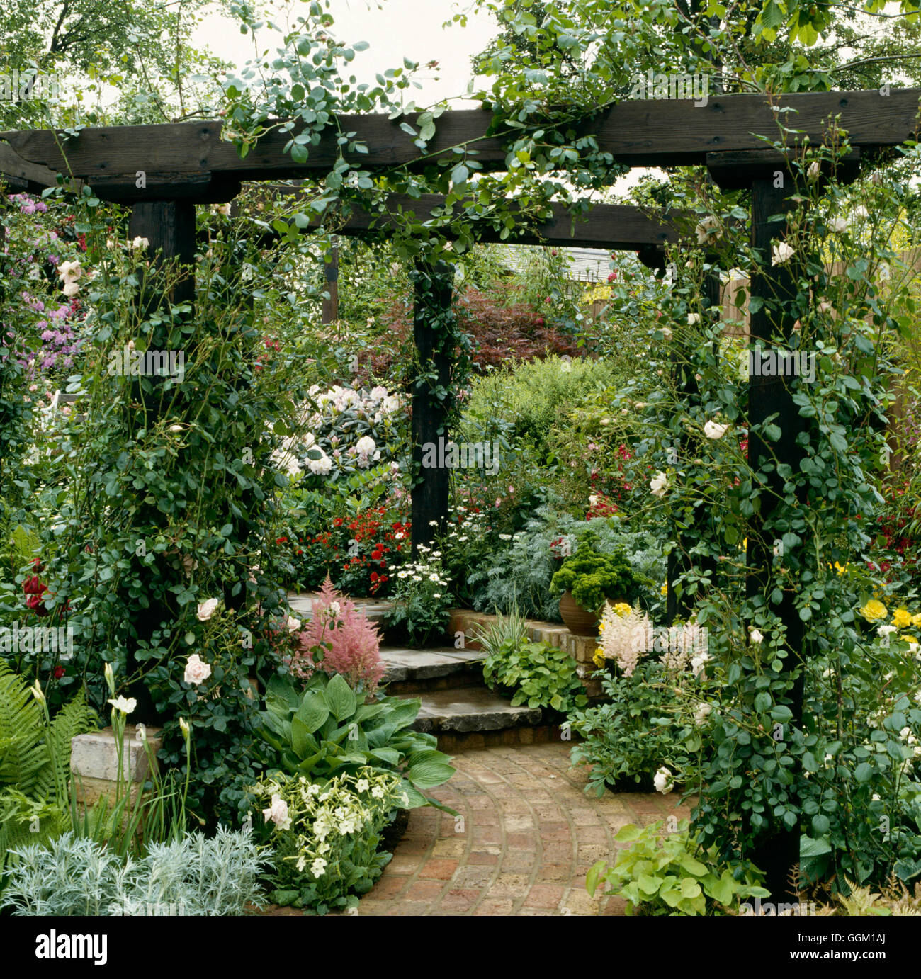 Pergola - of Roses with rich underplanting PEG022691 Stock Photo - Alamy