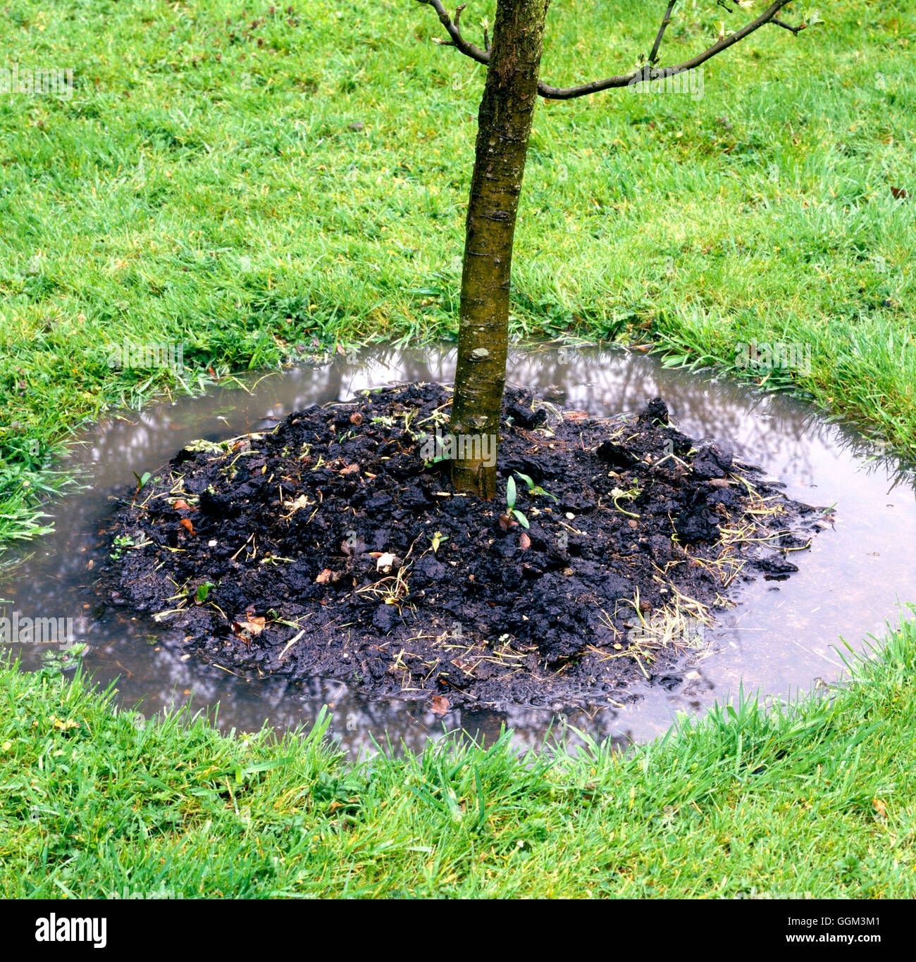Water logging  Date: 20.06.08  PES089317 Stock Photo