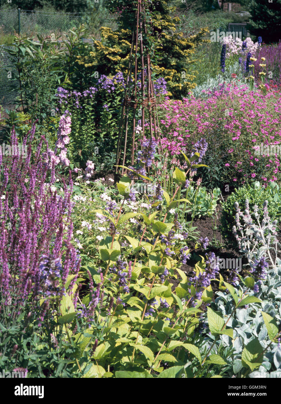 Perennial Border - with plant obelisk as focal point   PGN084464 Stock Photo