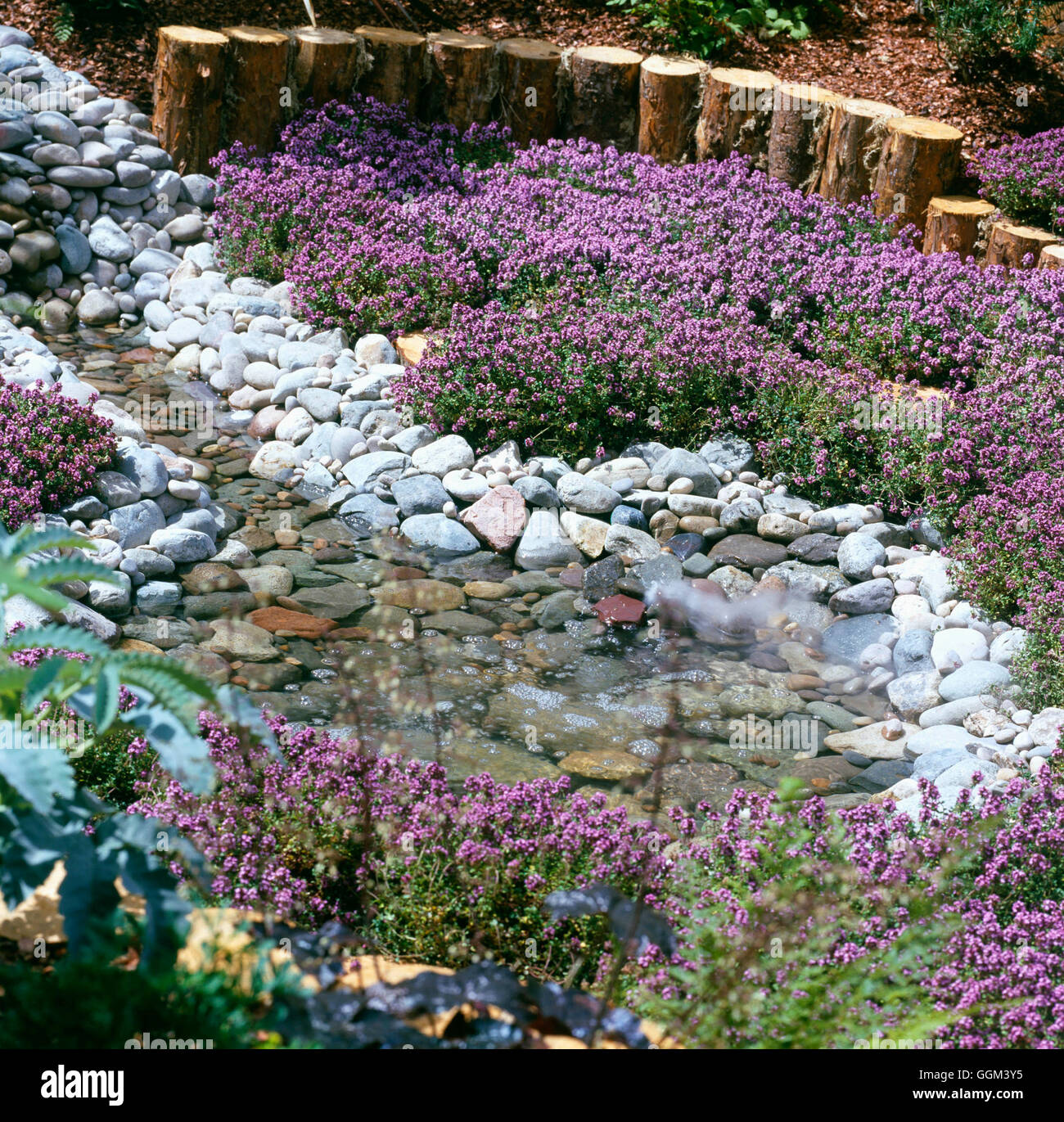 Pool - with 'smoke' feature  edged with Thyme - (Please credit: Photos Hort/Steve White - Artisan Landscapes Co)   POO Stock Photo