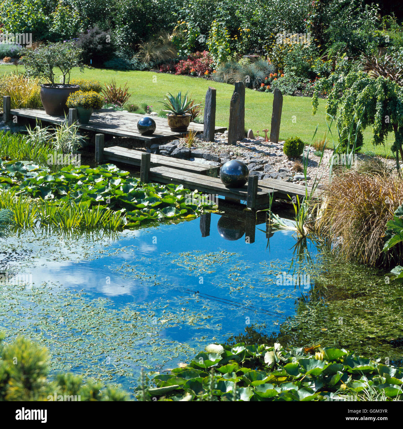 Pool - (Please credit: Photos Hort/ Ashwood Nurseries)   POO108987 Stock Photo