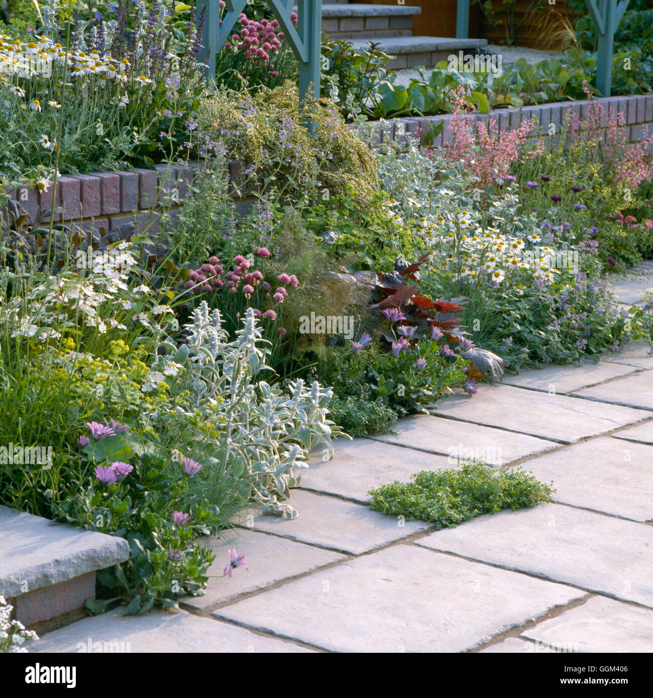 Paving and Plants   PPL052971 Stock Photo