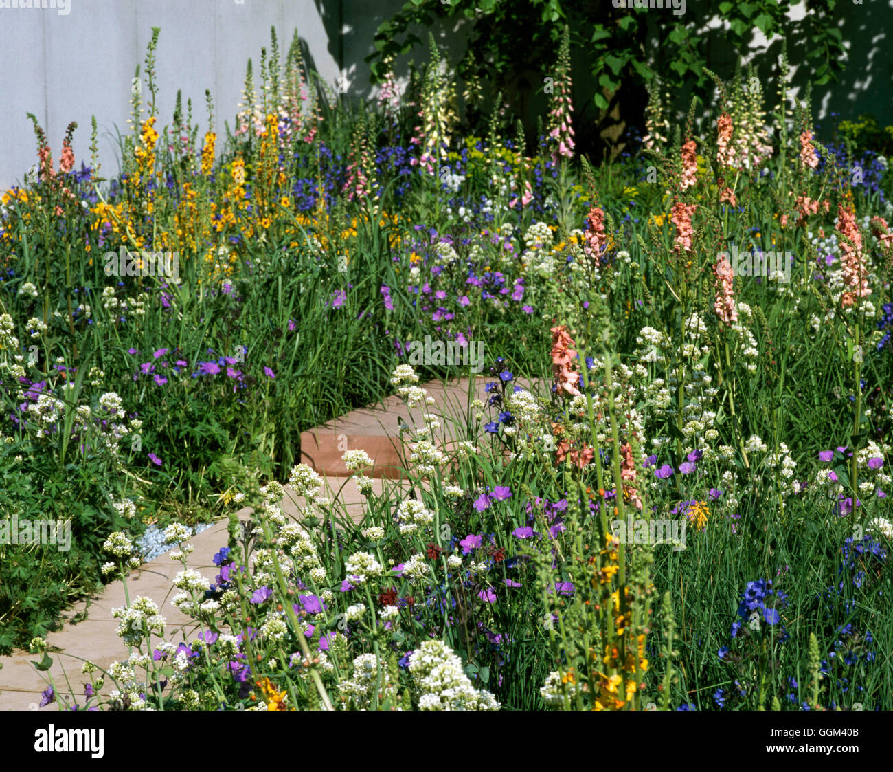 Prairie Planting - (Credit Info: Laurent-Perrier Harpers & Queen Garden designed by Tom Stuart-Smith at Chelsea FS 2001 - Gold M Stock Photo
