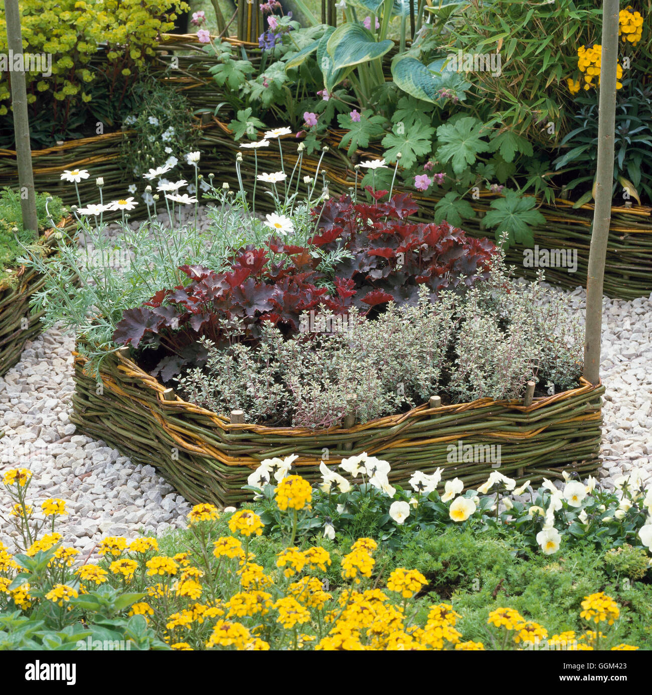 Raised Beds planted with Perennials and Herbs (Please credit