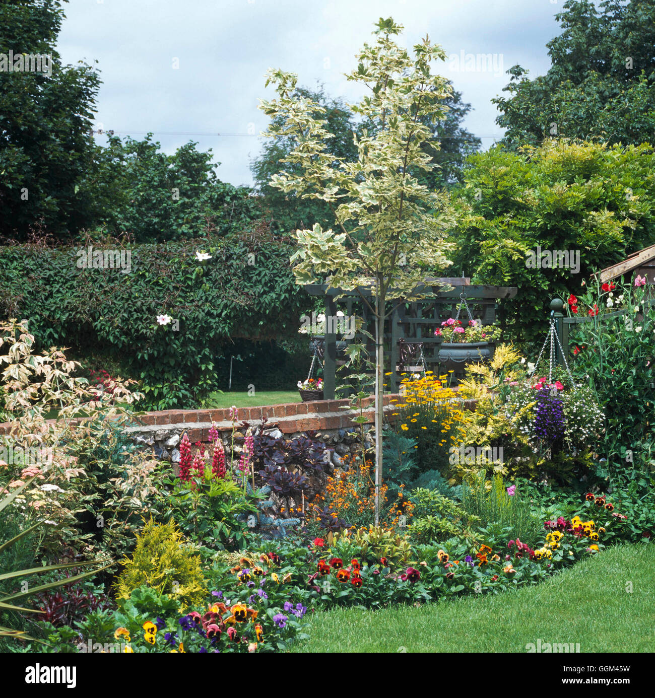 Rear Garden REA108573 Stock Photo - Alamy