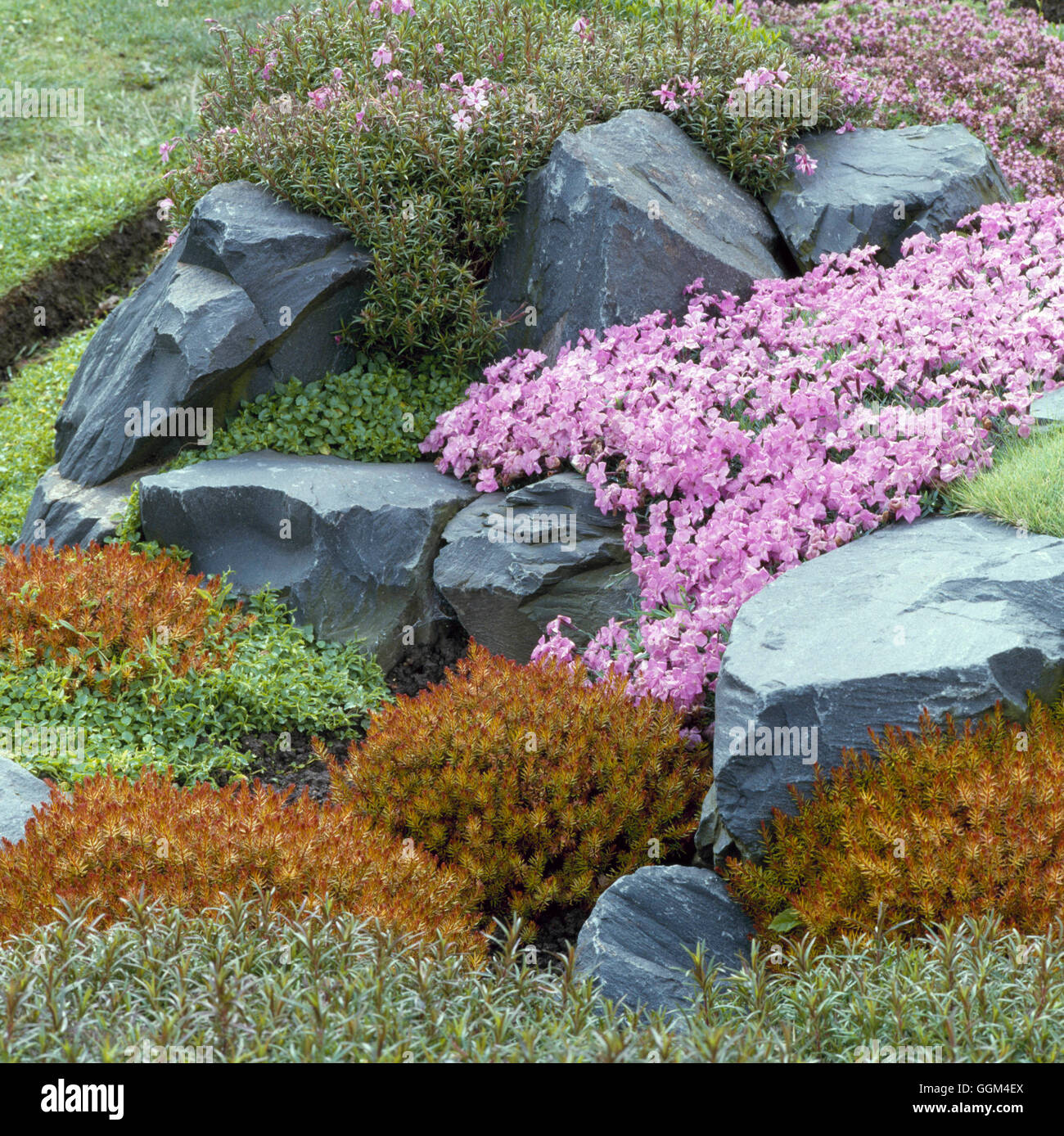 Rock Garden using Westmorland Slate ROC012527 Stock Photo Alamy