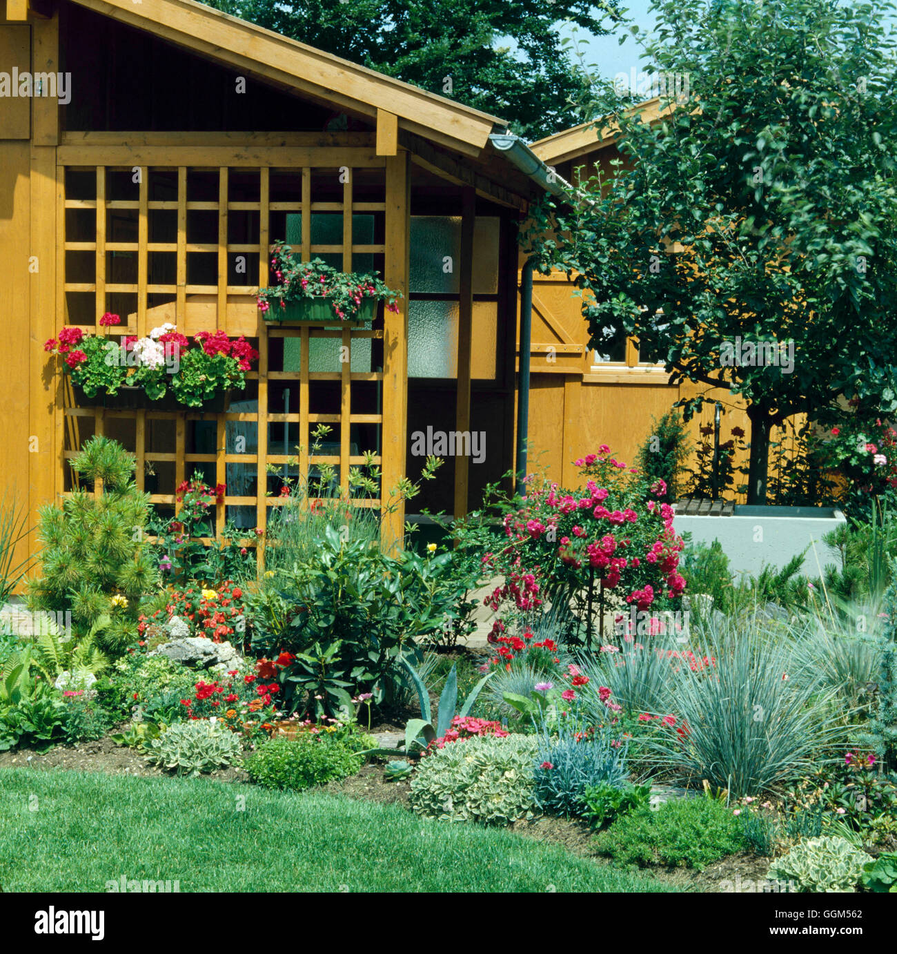 Summer House   SUH028884 Stock Photo