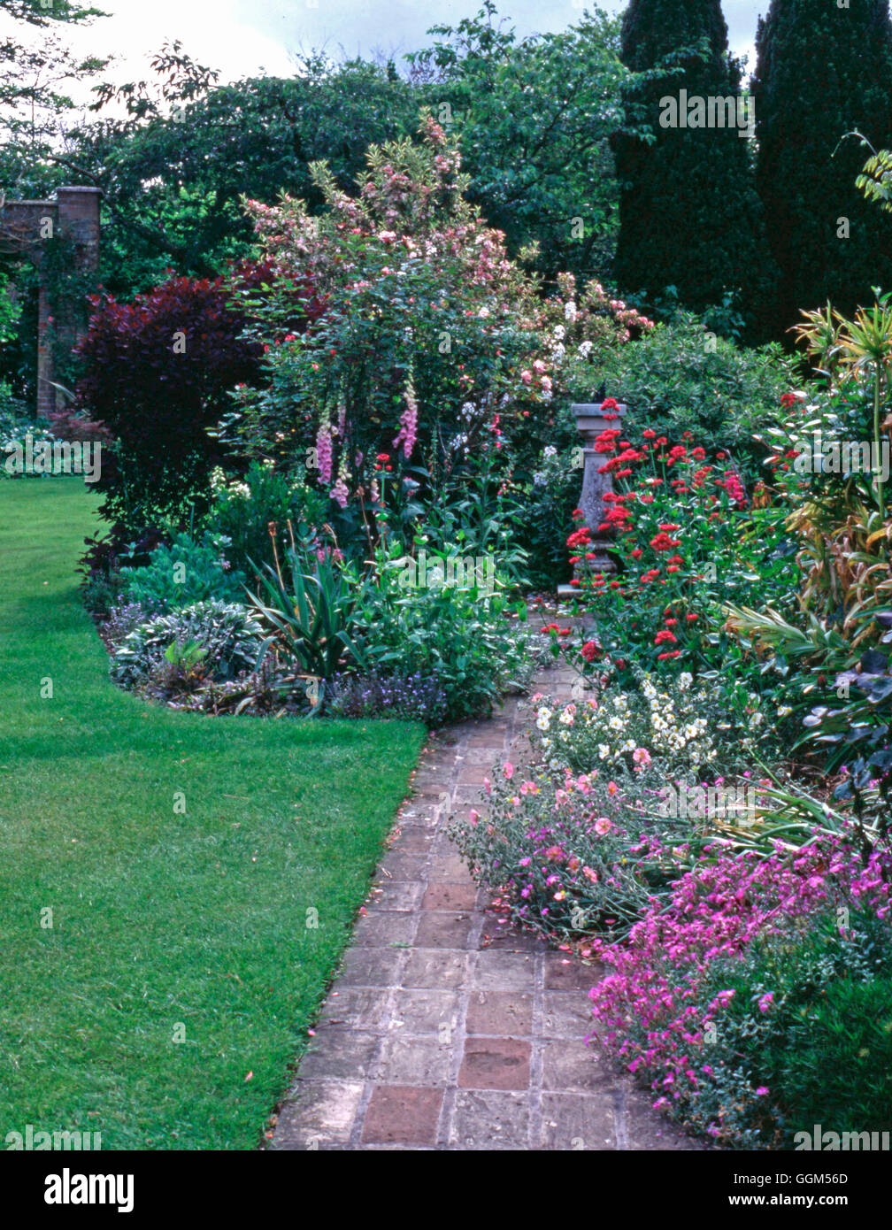 Summer Garden   SUM009899 Stock Photo