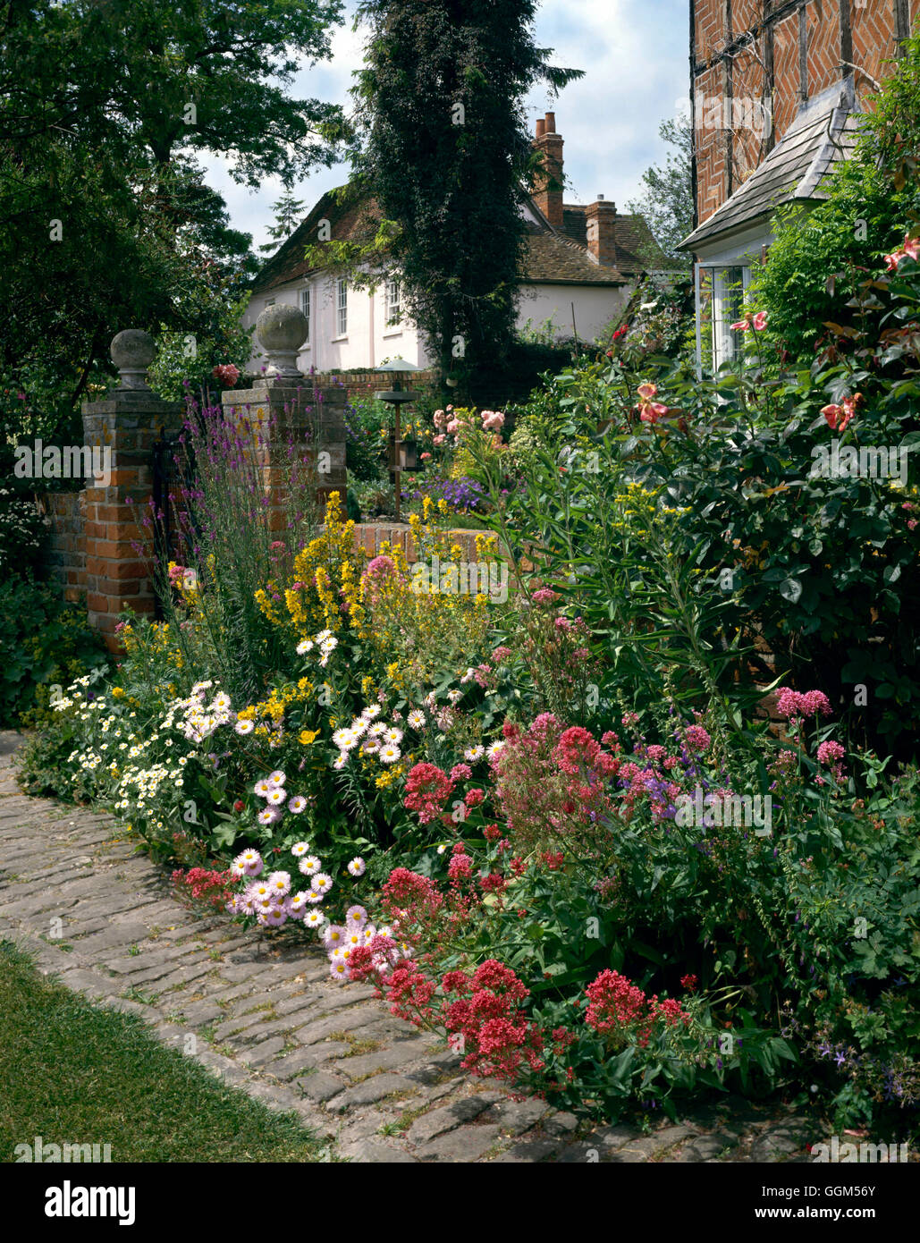 Summer Garden   SUM079156 Stock Photo