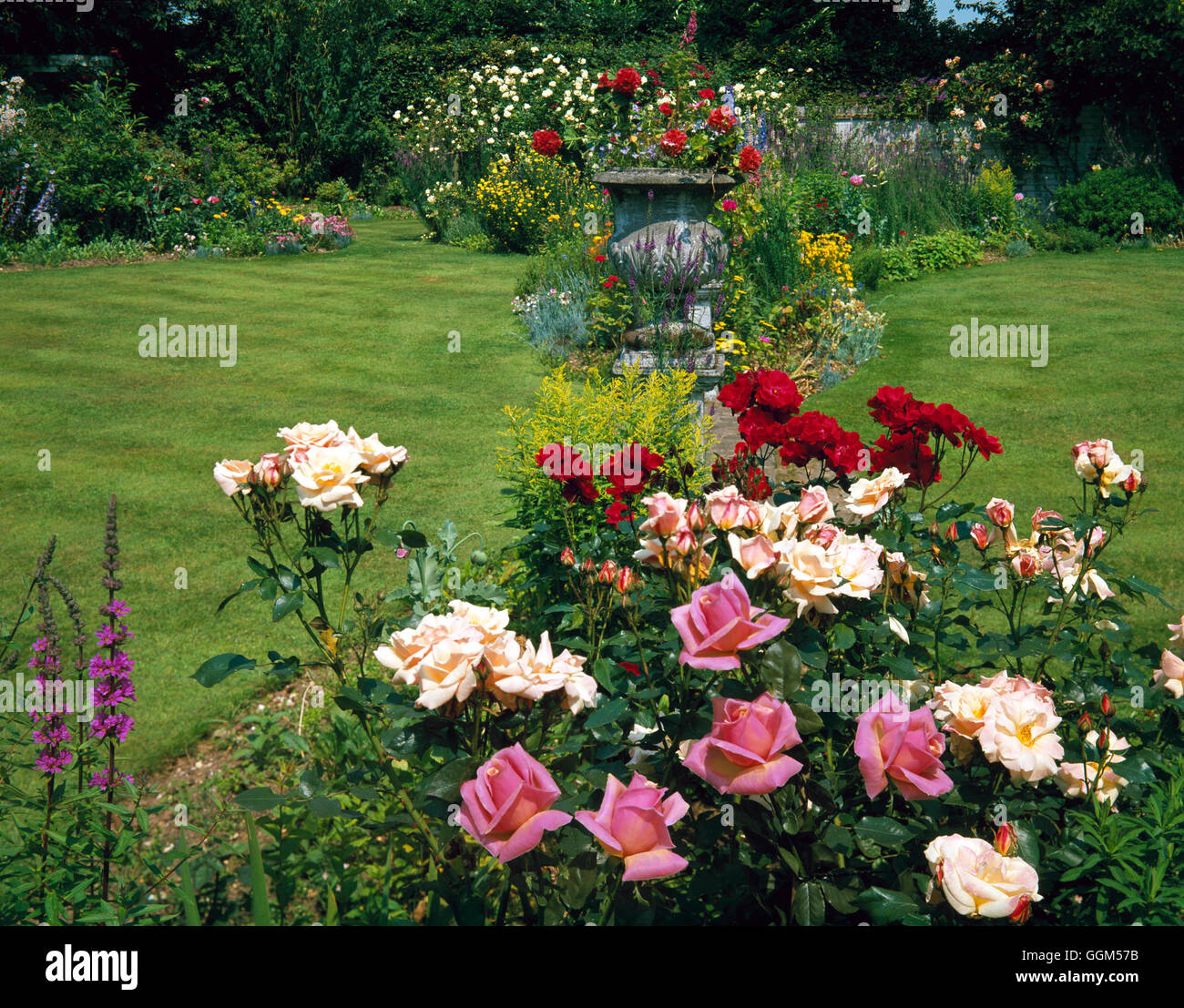 Summer Garden   SUM086203 Stock Photo