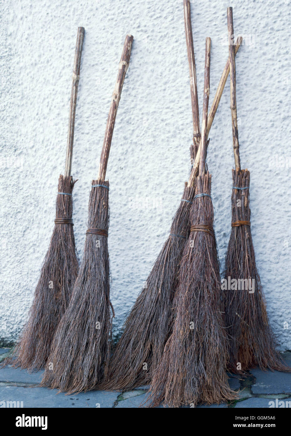 Witches brooms hi-res stock photography and images - Alamy