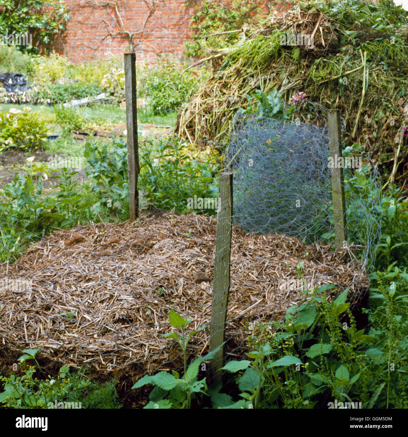 Compost - Bin - constructed with wire netting   TAS036572 Stock Photo