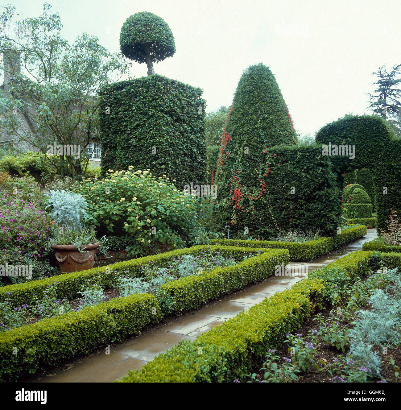Topiary - and box hedging - (Please credit: Photos Horticultural Hidcote Manor Gardens N.T.)   TOP012195  Compulsory Stock Photo