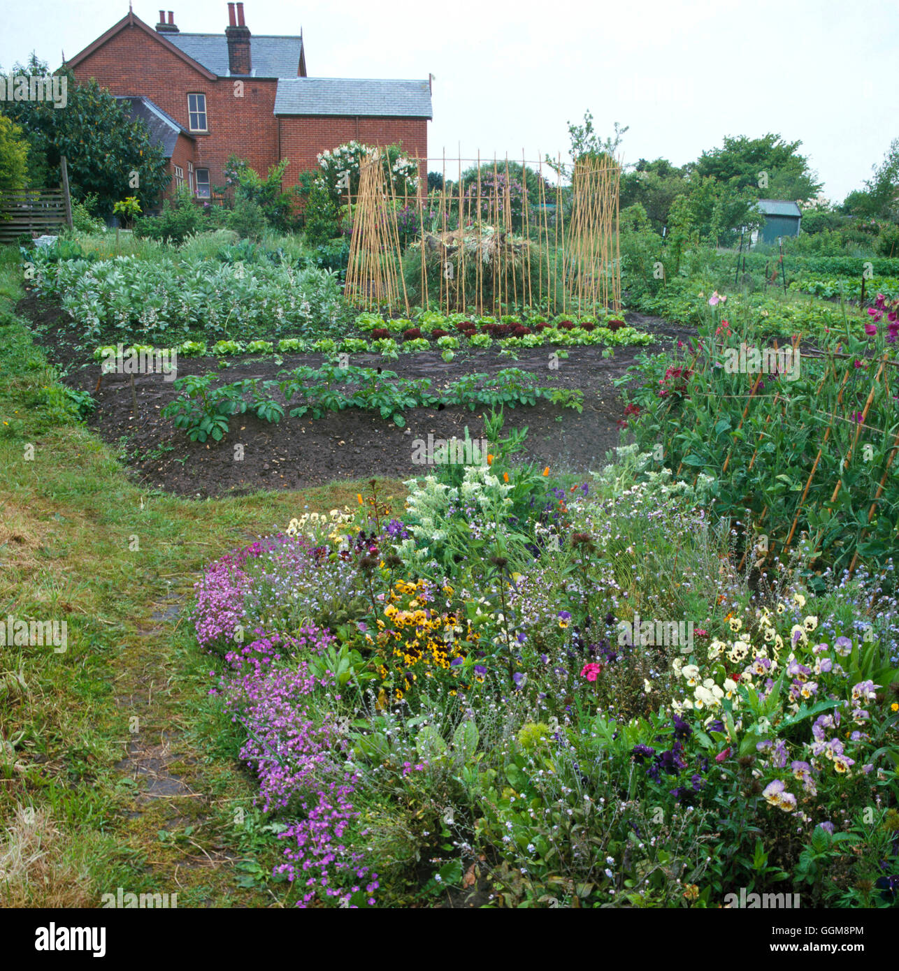Vegetable and Flower Garden - (May)   VAF088672 Stock Photo