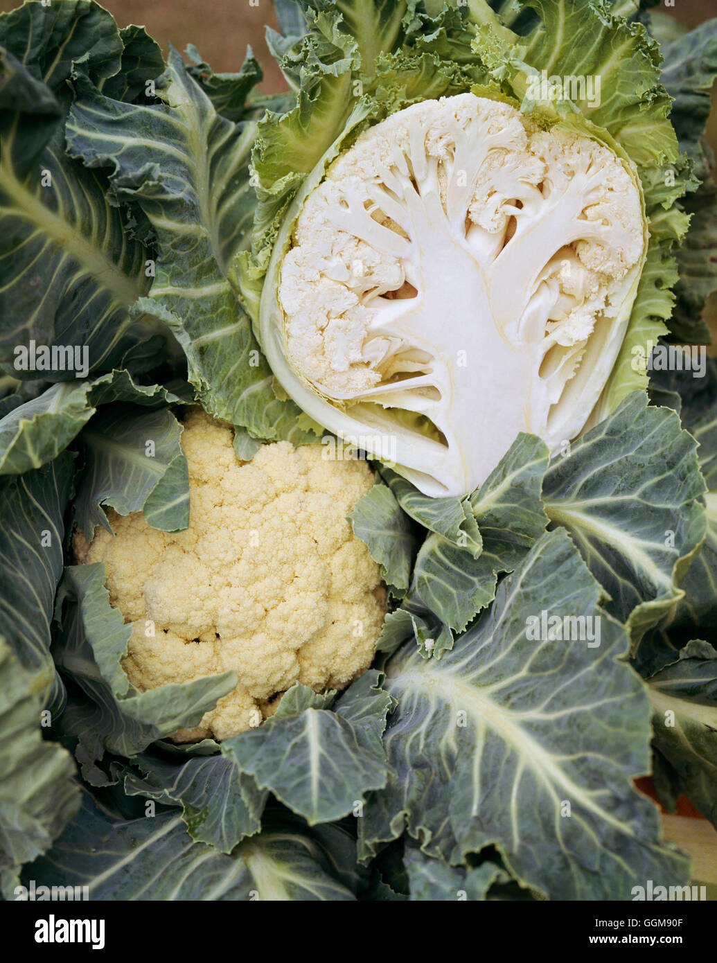 Cauliflower - showing floret halved- - (Brassica oleracea Botrytis Group)   VEG046904     Photos Hor Stock Photo