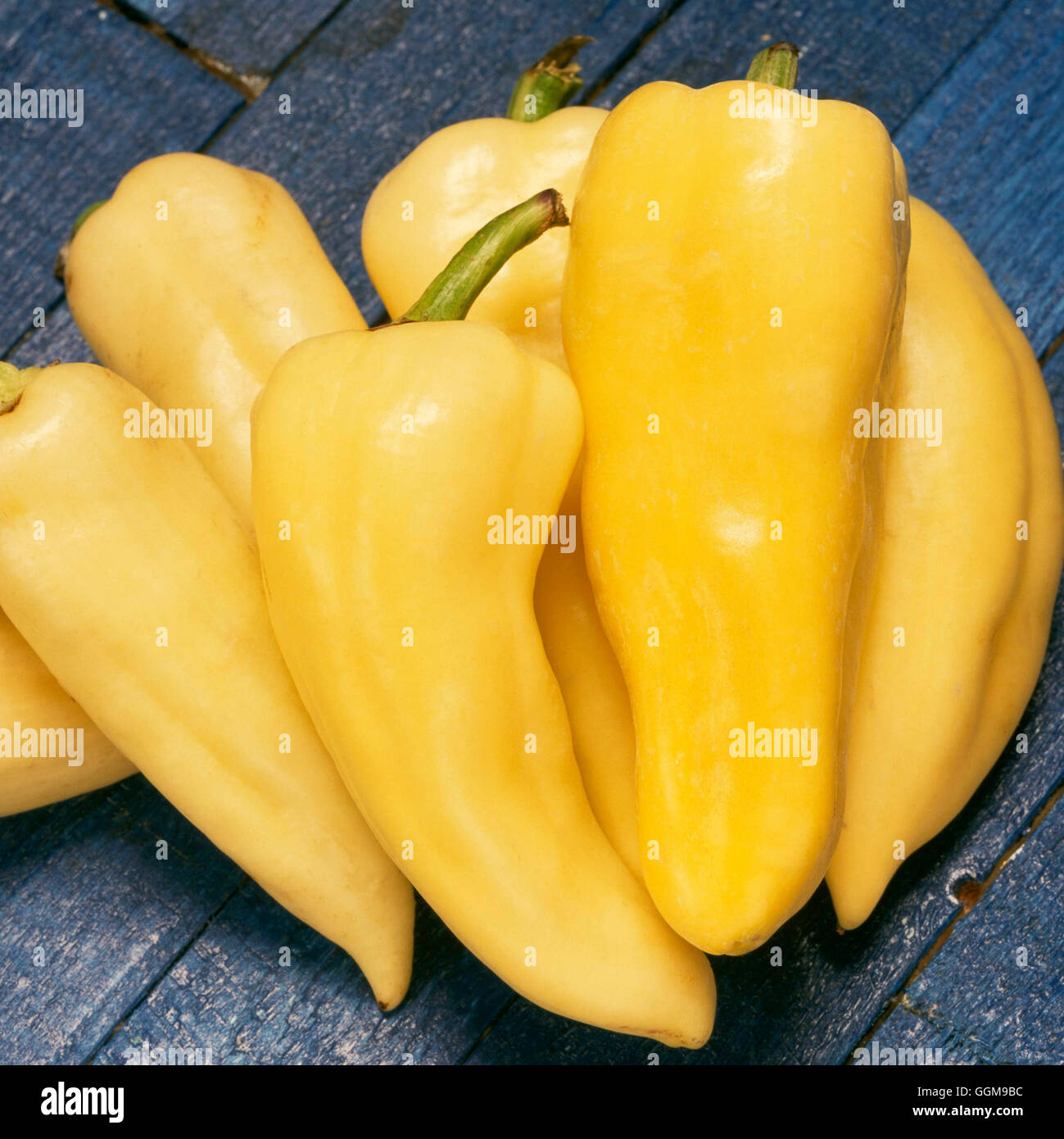 Pepper - Sweet - 'Banana' (Syn P. 'Hungarian Wax Sweet')   VEG097990 Stock Photo