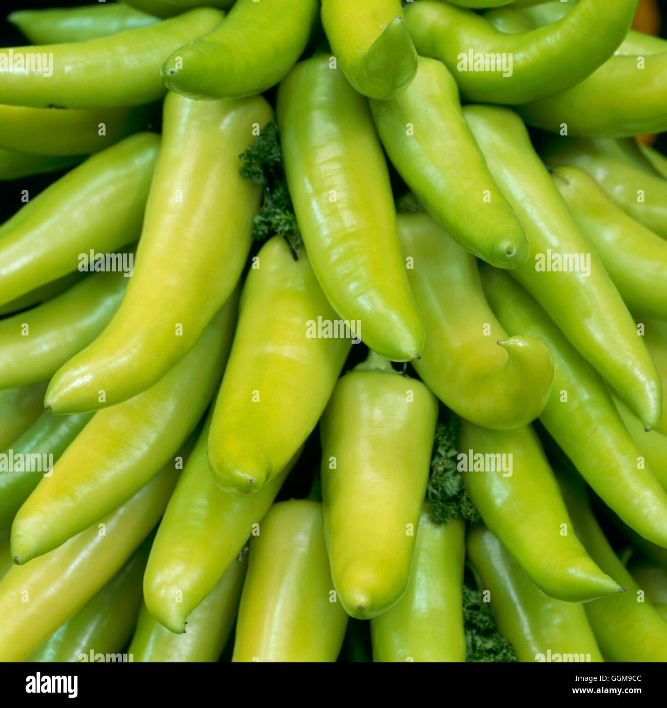 Hungarian wax pepper hi-res stock photography and images - Alamy