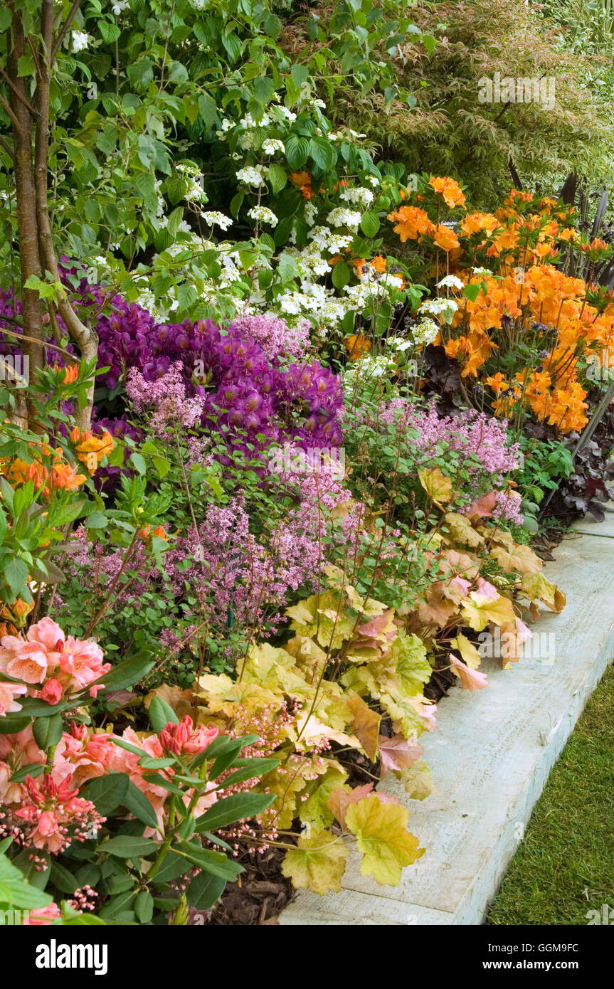 Colourful mixed border on Hillier Nurseries exhibit.  Chelsea flower show 2008.    Date: 21.05.2008  WAR000281  COMPUL Stock Photo