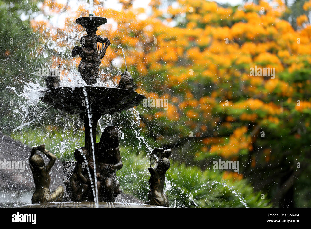Fountain in public garden hi-res stock photography and images - Alamy