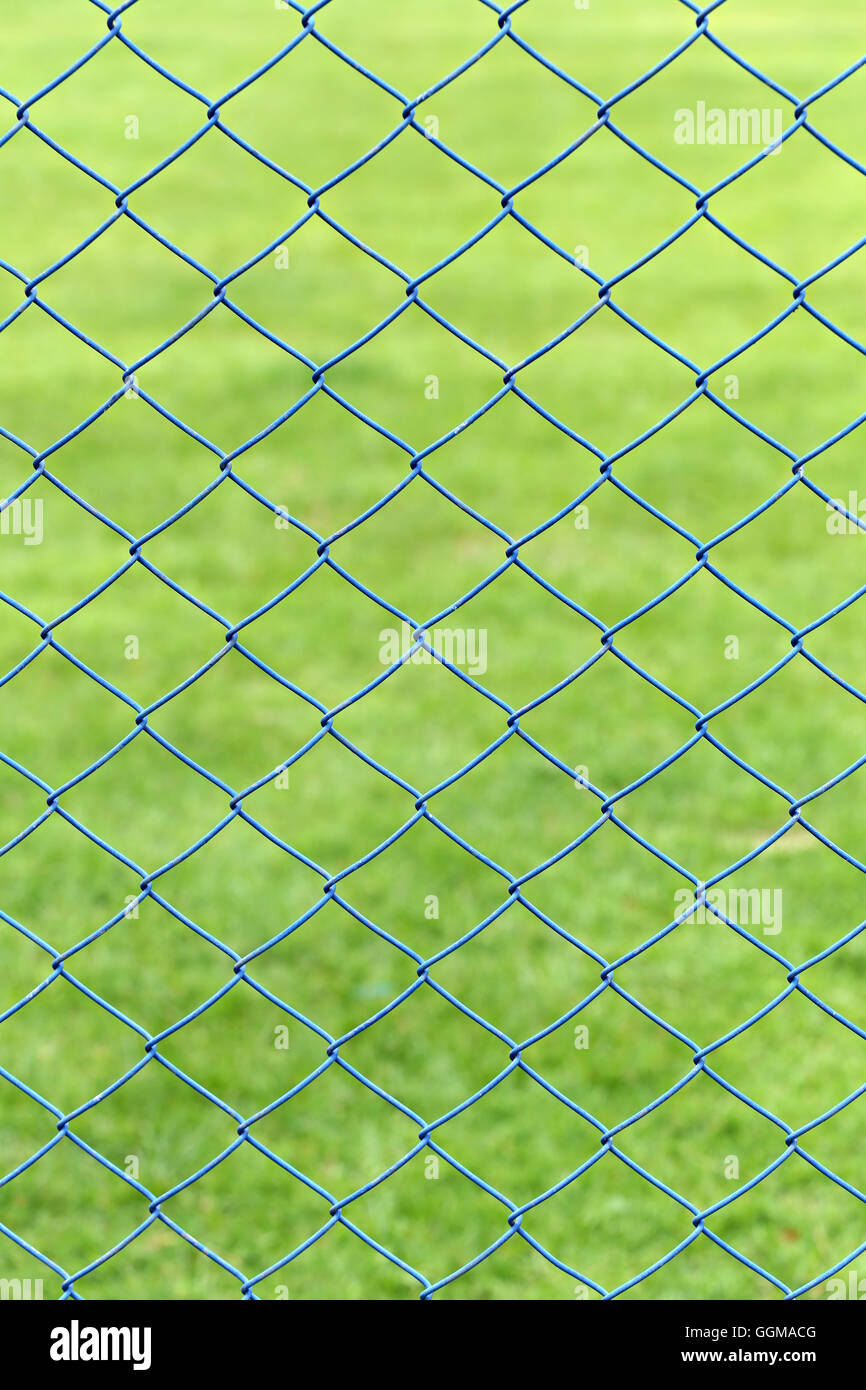 wire mesh or steel cage of green lawn in the garden for design background. Stock Photo