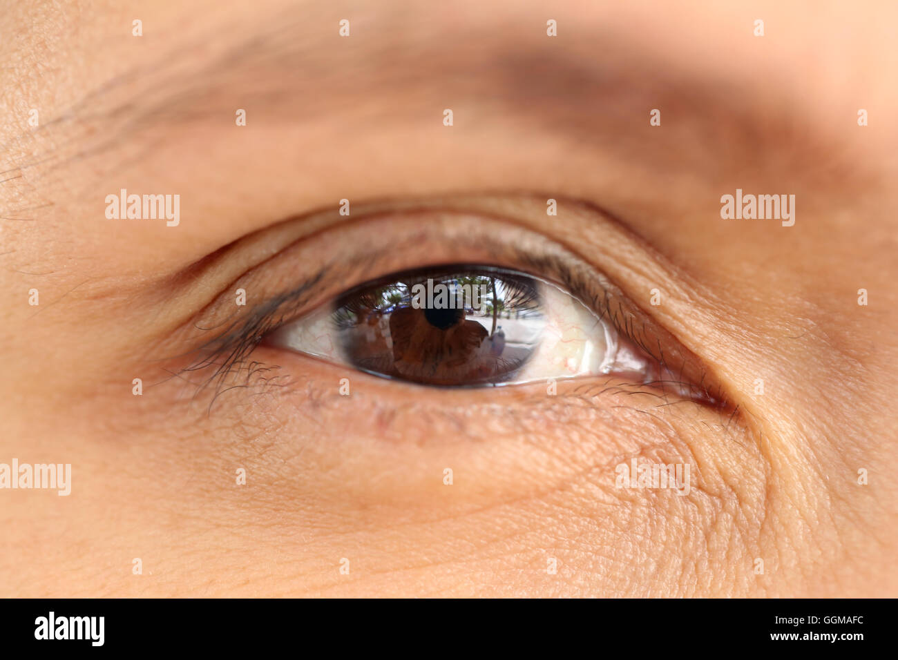 Macro Women's Eye in the near term,close up Photography concept of health and body. Stock Photo