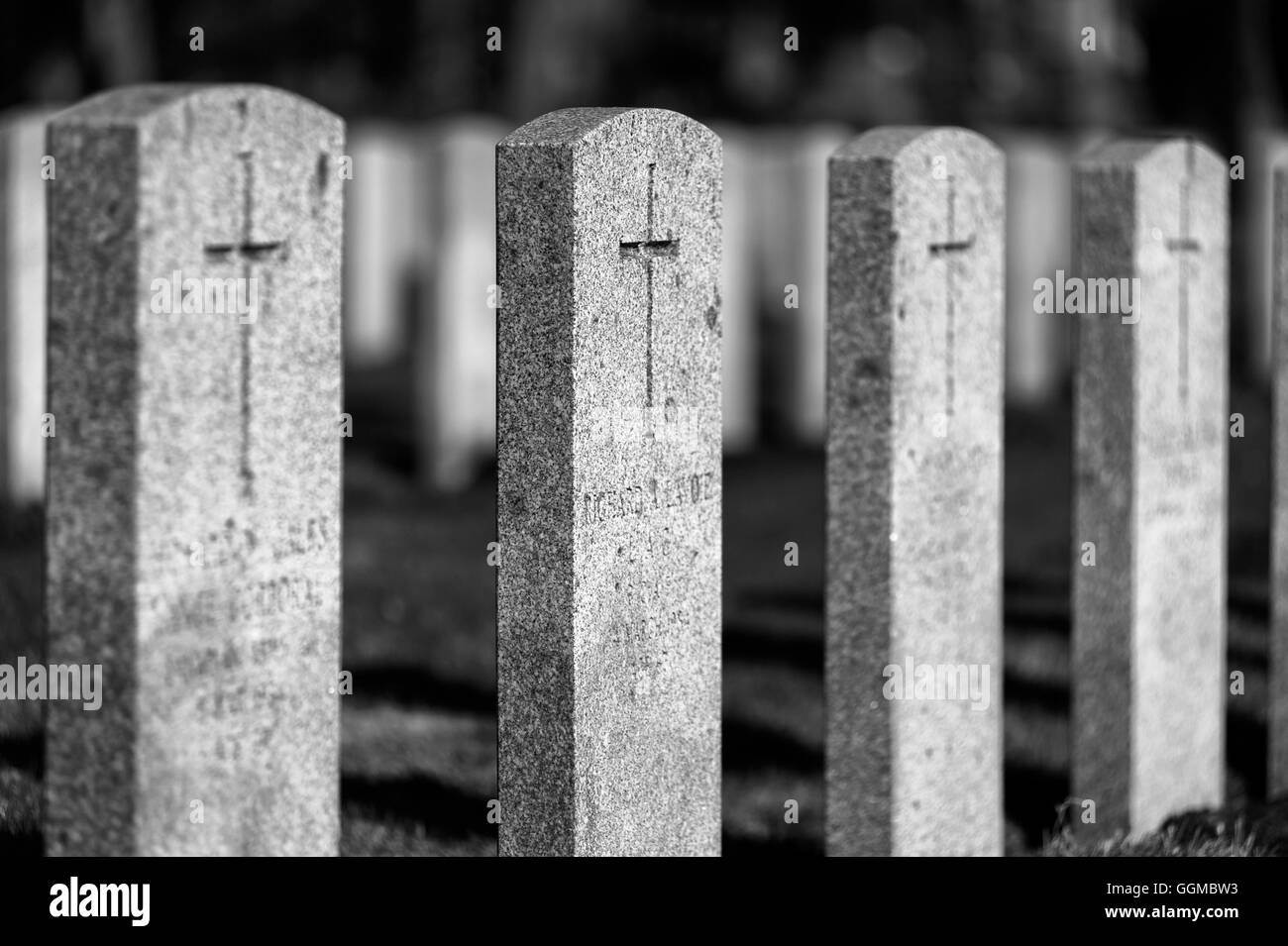 military headstones Stock Photo