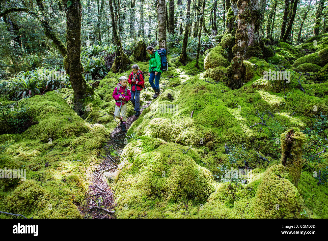 Two girls and a woman hiking through ferns in the rainforest of Fjordland at Lake Manapouri, Hope Arm, South Island, New Zealand Stock Photo