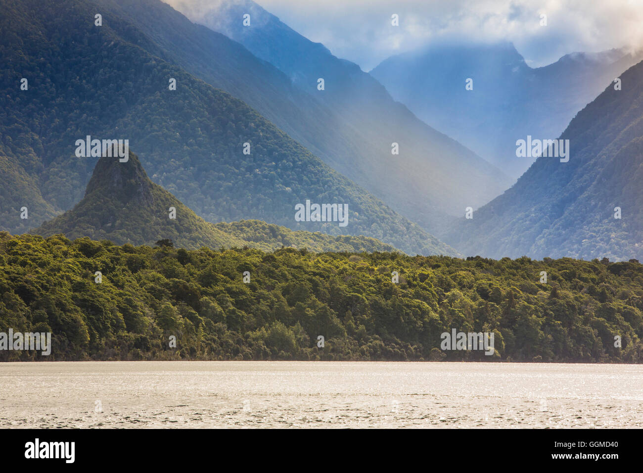 Lake Manapouri, Hope Arm Bay, Fjordland, South Island, New Zealand Stock Photo