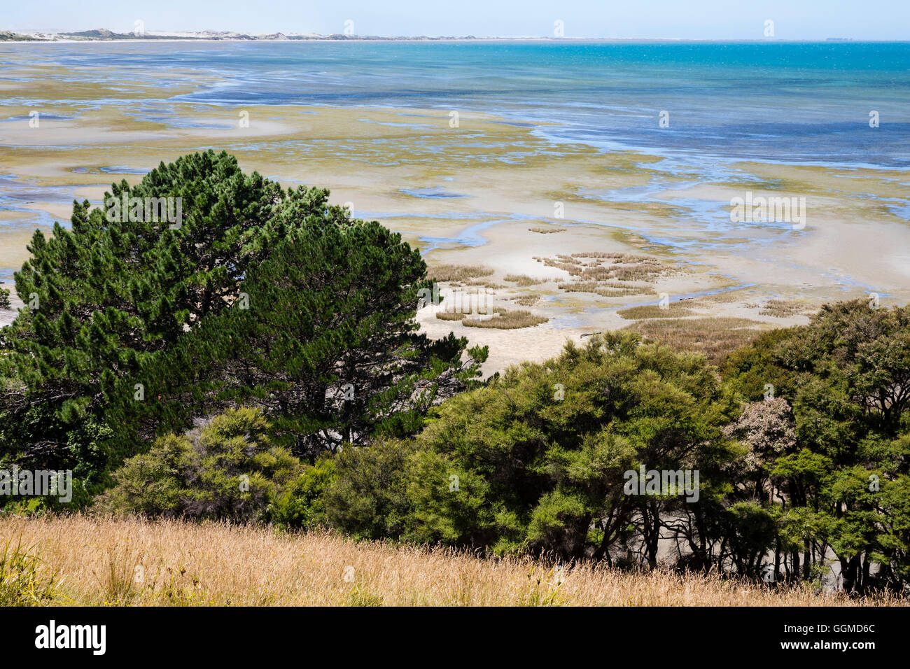 Tidal coast at Farewell Spit Nature Reserve, South Island, New Zealand Stock Photo