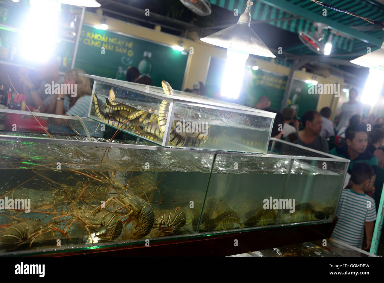 Seafood in a restaurant, beach at Duong Dong on the island of Phu Quoc, Vietnam, Asia Stock Photo