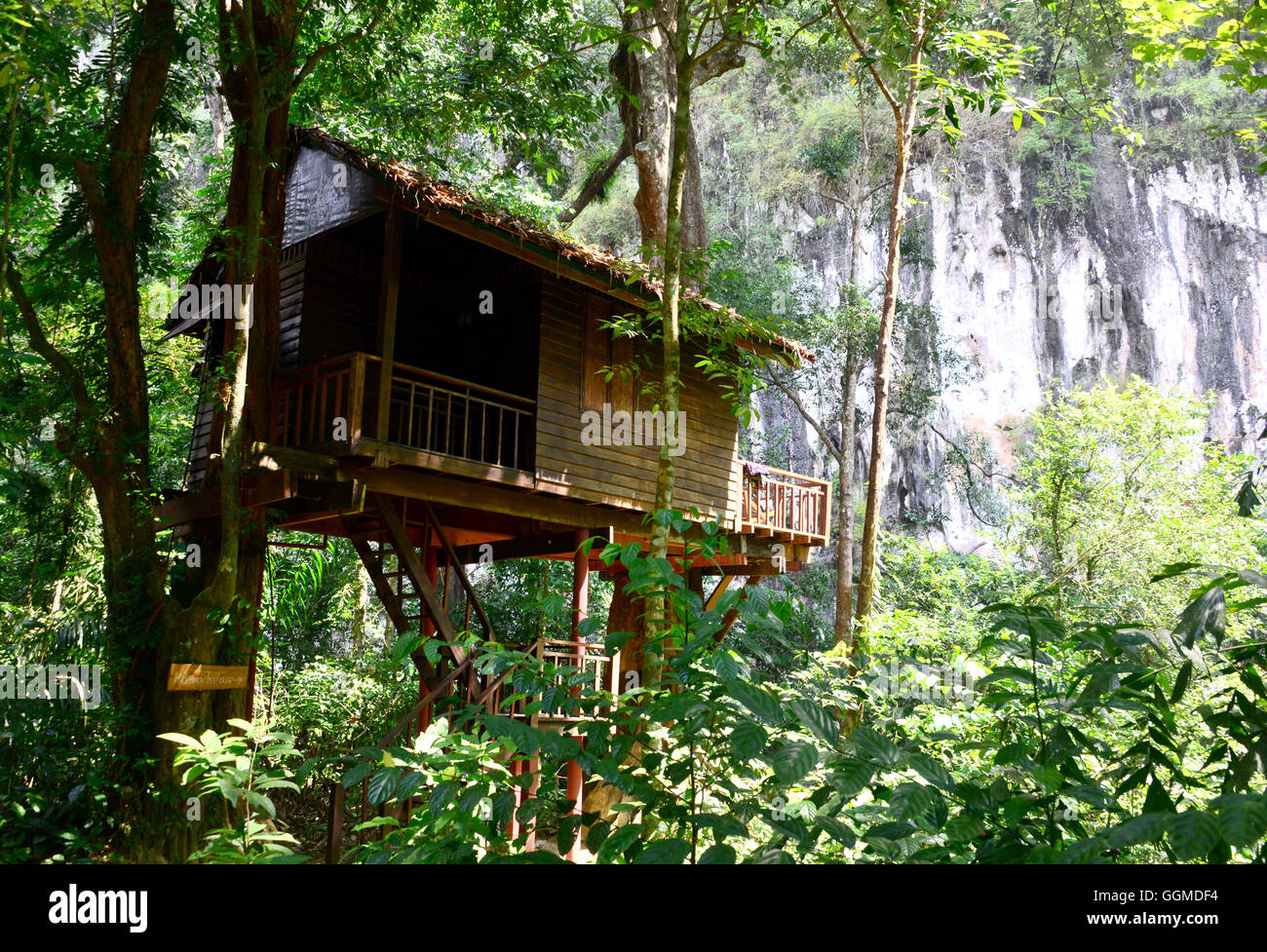 Tree house in Khao Sok National Park, Surat Thani, South Thailand, Asien Stock Photo