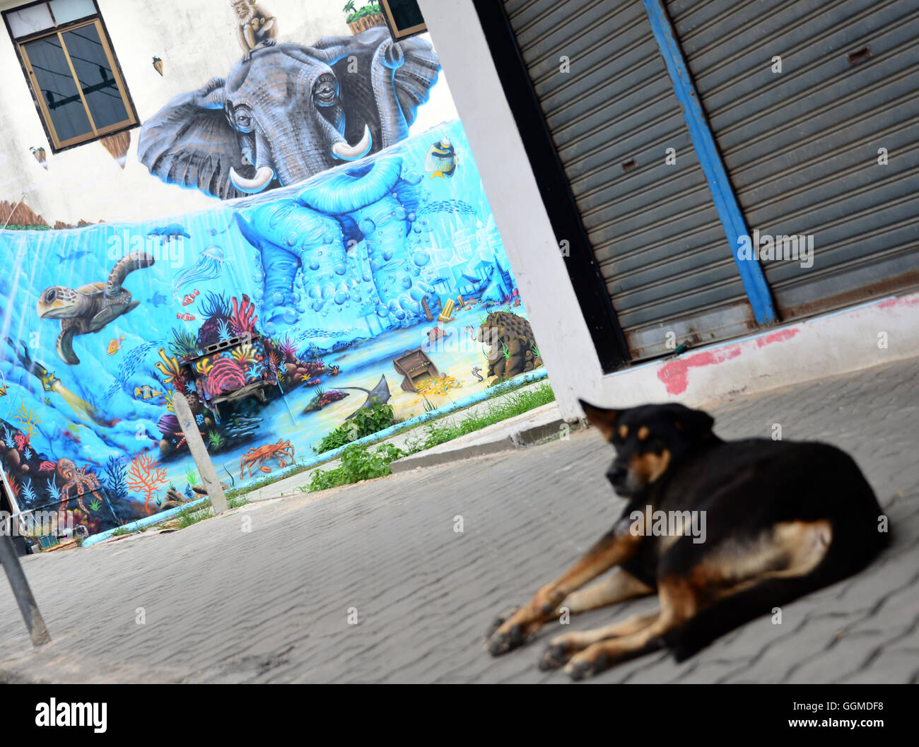 Street art and dog in Thong Sala, South coast, island of Pha Ngan, Golf of Thailand, Thailand Stock Photo